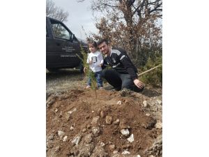 Kütahya'da Beşiktaş taraftarları 1903 fidan dikti
