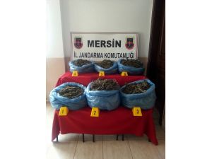 Mersin'de uyuşturucu operasyonu