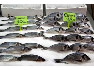 Koruma alanı uygulaması balıkçının yüzünü güldürdü
