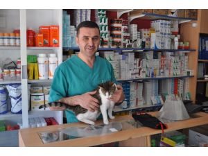 Kedi ve köpekler "Elizabeth yakası"ndan kurtulacak