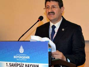 "1. Sahipsiz Hayvan Rehabilitasyon Çalıştayı"