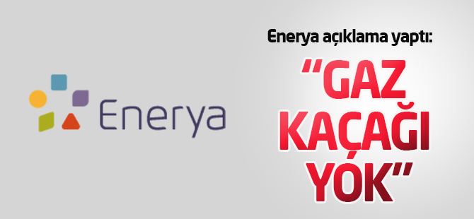 Ereğli'de Gaz Kaçağı Yok Duyurusu