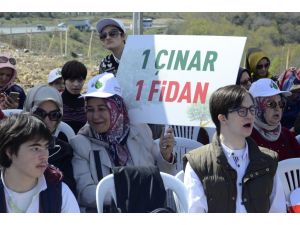 "Bir fidan, bir çınar" etkinliği
