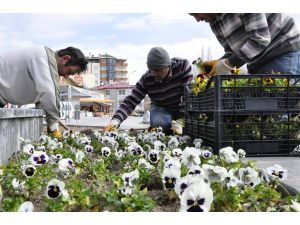 Gürün çiçeklerle donatıldı