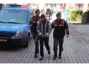 Sarayönü'nde hayvan hırsızlığı iddiası