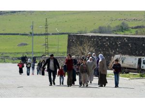 İdil'de terörün izleri siliniyor