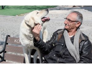 "Bulut" köpeğin motosiklet tutkusu