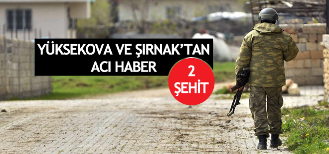 Hakkari ve Şırnak'tan acı haber: 2 asker şehit