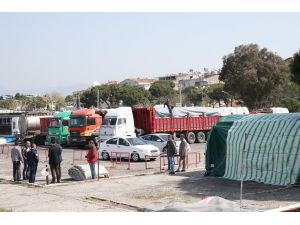 Dikili'de göçmenler için hazırlıklar sürüyor