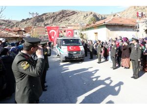 Şırnak’taki terör operasyonu