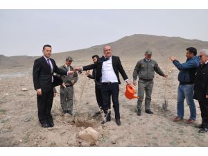 Emirgazi ilçesinde "Bal Ormanı" oluşturuldu