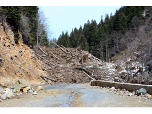 Çığ, milli parkın bitki örtüsünü tahrip etti