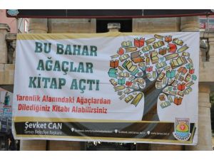 Ağaçlara asılan kitaplara yoğun ilgi