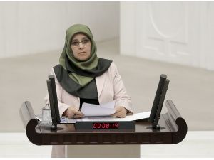 Aile ve Sosyal Politikalar Bakanı Ramazanoğlu hakkındaki gensoru