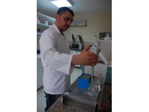 "Sezener" ve "Naz"a çiftçi ilgisi