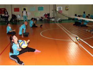 Türkiye Oturarak Voleybol Ligi