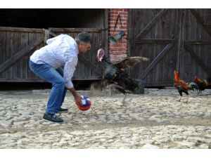 Hindinin "futbol" tutkusu