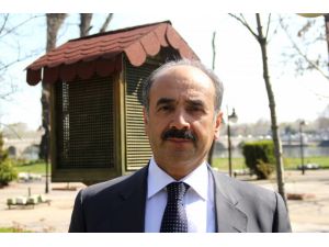 Türkiye'de orman varlığı 22,3 milyon hektar alana yükseldi