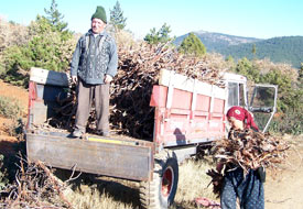 Beyşehirli Kadınların Yakacak Telaşı