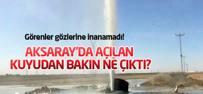 Görenler gözlerine inanamadı!