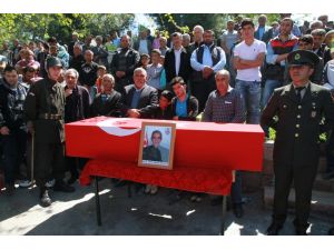 Nusaybin'deki terör operasyonu