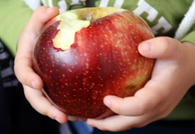 'RAMBO' cinsi elma tanınmıyor