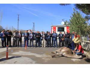 Türk Polis Teşkilatının kuruluşunun 171. yılı