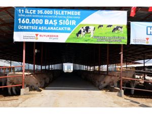 Kahramanmaraş Büyükşehir Belediyesinden hayvancılığa destek