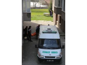 GÜNCELLEME 2 - Bolu'da terör operasyonu