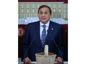 CHP Ordu Milletvekili Torun: