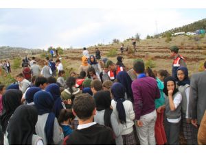 Bozkır’da meşe palamutları toprakla buluştu