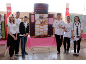 Şarkışla’da "TÜBİTAK 4006 Projeleri Bilim Fuarı" açıldı