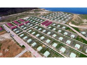 Sahipsiz dostlara "5 yıldızlı" bakım