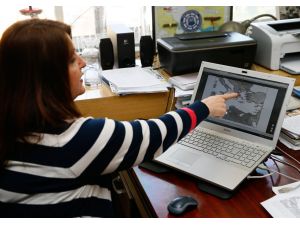 Ege'de "balon balığı" tehdidi