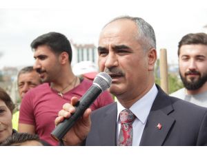 Sivas Belediyesinden ağaçlandırma çalışması