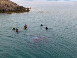 Anadolu Ajansı 96 yaşında