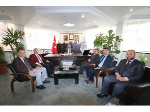 Kutlu Doğum Haftası