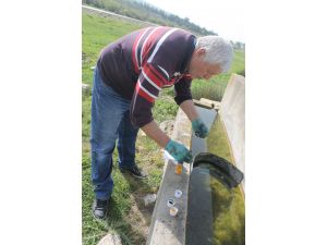 Sanatçı Şimşek yalakta ebru çalışması yaptı