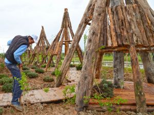 "Lisinia Projesi" EXPO 2016'da sergilenecek