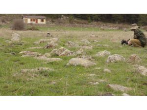 Çubuk doğa tutkunlarının akınına uğruyor