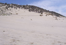 Örnektepe ziyaretçi akınına uğruyor