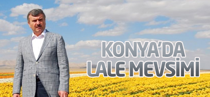 Konya'da Lale Mevsimi