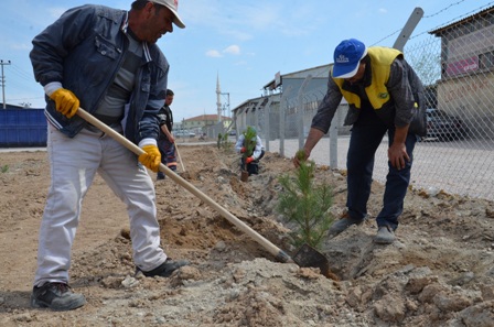 Daha yeşil bir Karatay için çalışmalar sürüyor