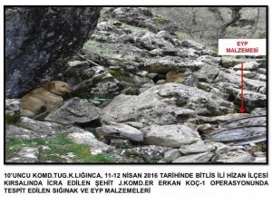 Bitlis'teki terör operasyonu