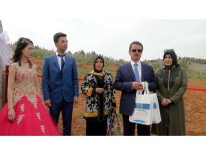 Nikahtan önce fidan dikiyorlar