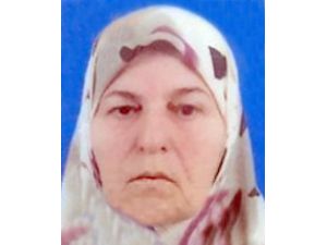 Kocaeli'deki cinayet