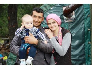 Orman işçilerinin zorlu mesaisi