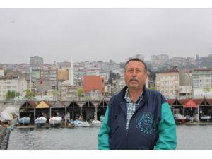 Karadeniz'de yaklaşık 400 bin ton hamsi avlandı