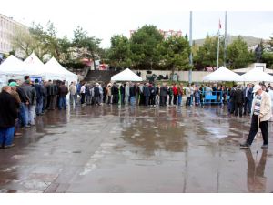 Kutlu Doğum Haftası