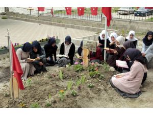 Kutlu Doğum Haftası